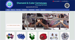 Desktop Screenshot of diamondtraininginstitute.com